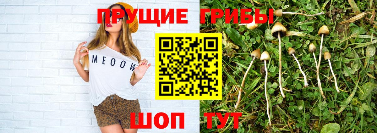 Псилоцибиновые грибы прущие грибы Фролово